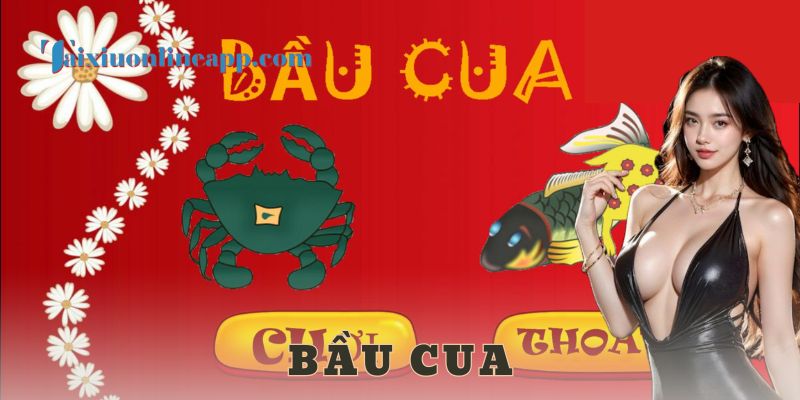 Vì sao bầu cua được yêu thích đến vậy?