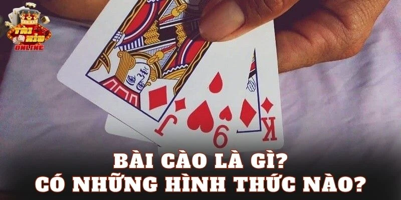 Bài Cào là gì? Có những hình thức nào?