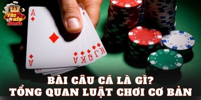 Bài Câu Cá là gì? Tổng quan luật chơi cơ bản