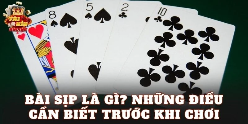 Bài Sịp là gì? Những điều cần biết trước khi chơi