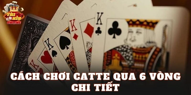 Cách chơi Catte qua 6 vòng chi tiết