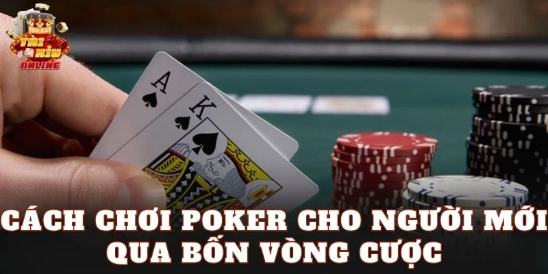 Cách chơi Poker cho người mới qua bốn vòng cược