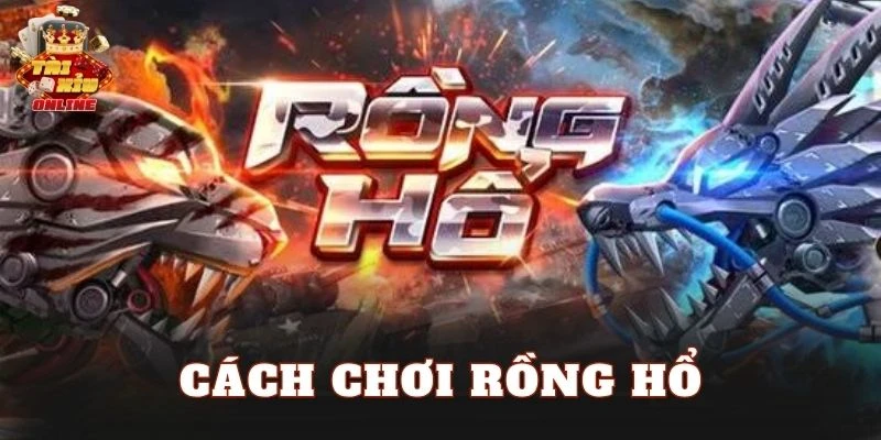 Cách Chơi Rồng Hổ