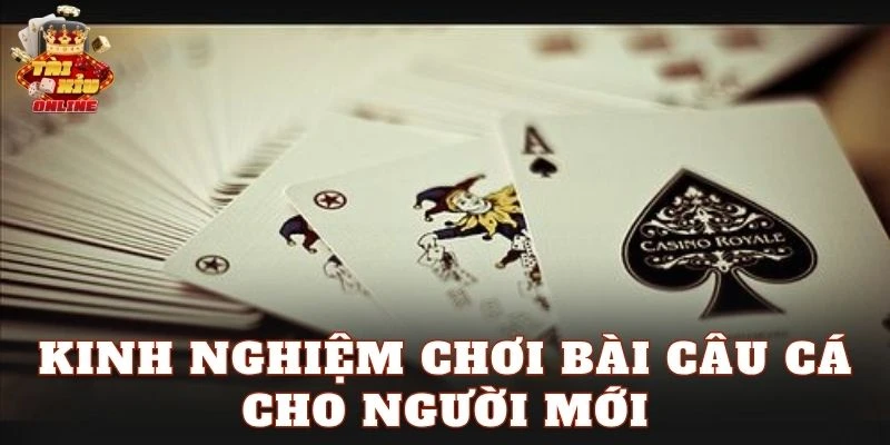 Kinh nghiệm chơi Bài Câu Cá cho người mới