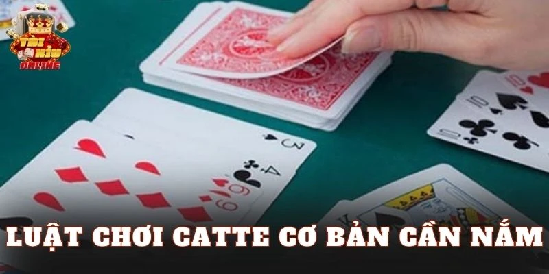 Luật chơi Catte cơ bản cần nắm