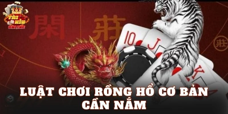 Luật chơi Rồng Hổ cơ bản cần nắm